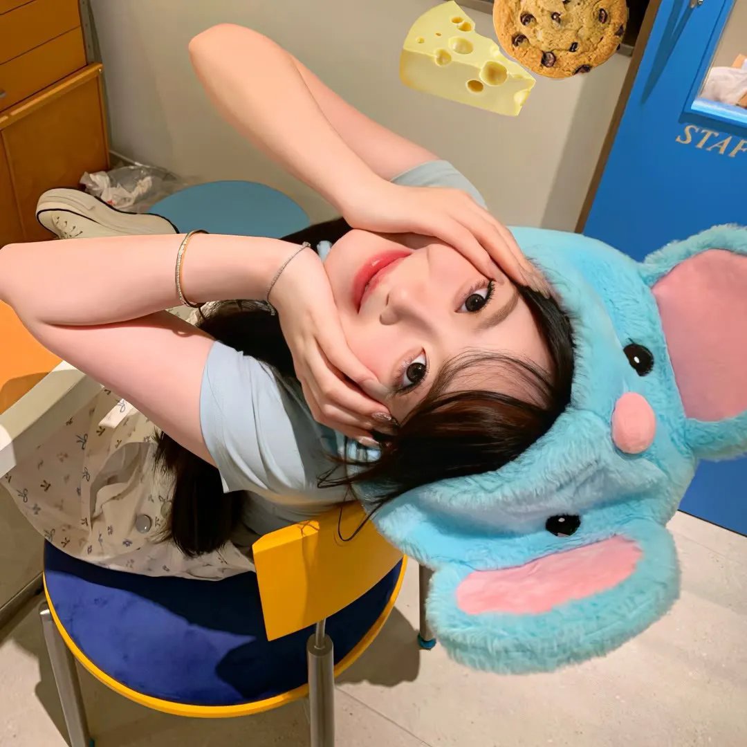 翠迪斗黑猫